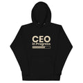 Unisex hoodie with ‘CEO in Progress’ text graphic — WYVibe entrepreneur streetwear hoodie.